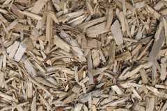 biomass boilers Burcot