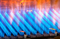 Burcot gas fired boilers